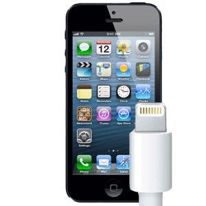 iPhone 5s замена зарядного порта